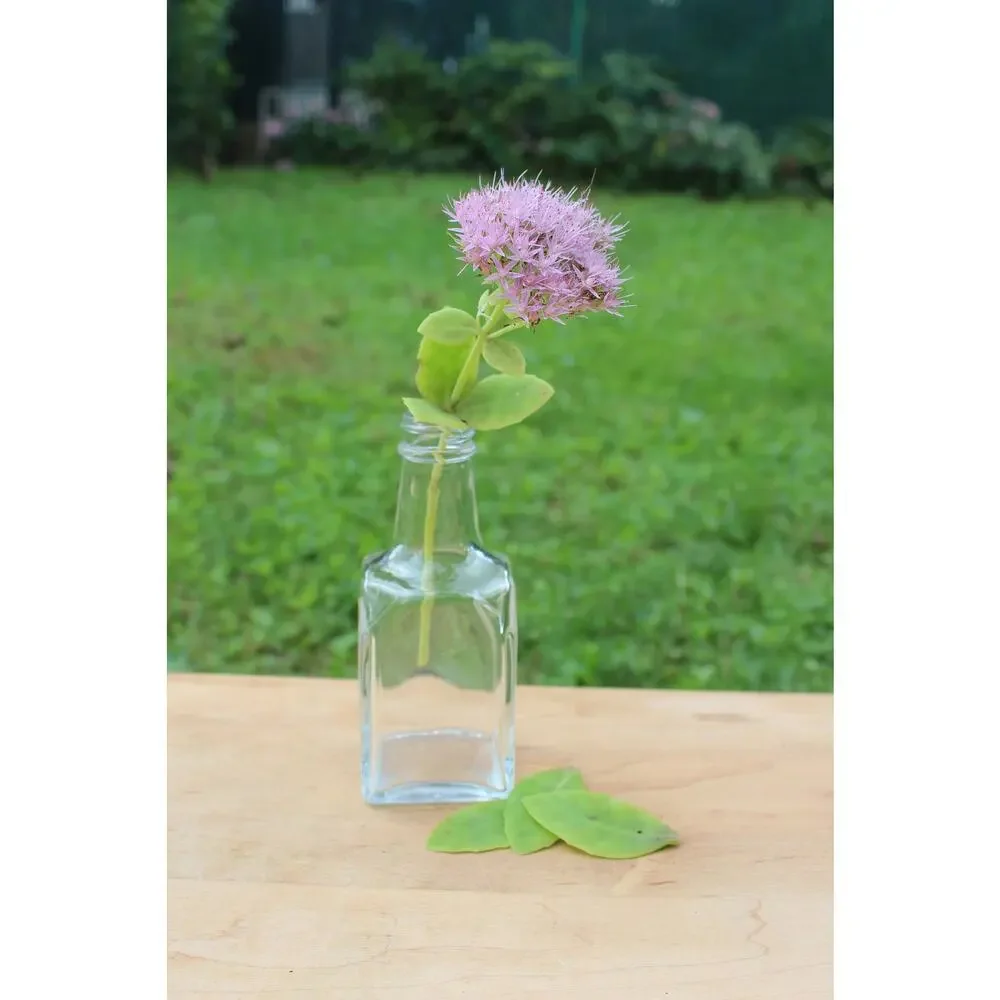 Simple Vintage Clear Glass Bottle / Flower Vase